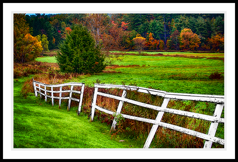 A fence and a field of fall colors.